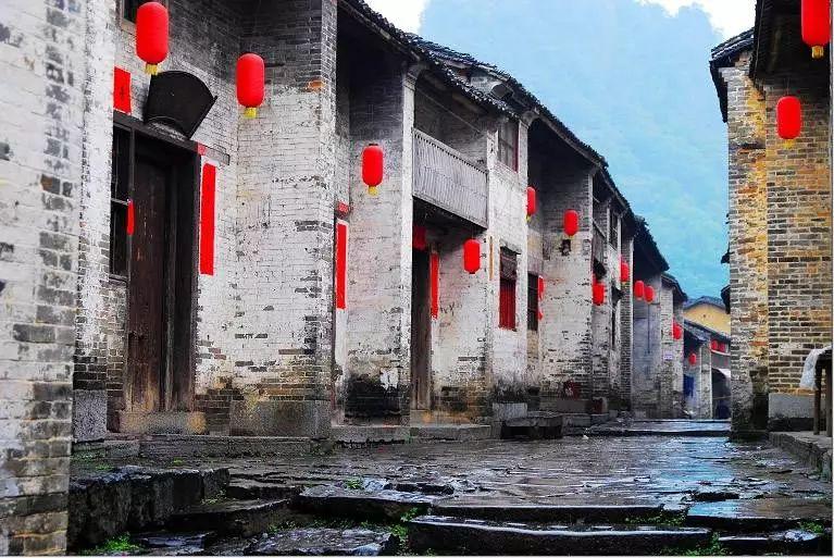 大乐透第12期晒票:季节轮回中的生命力,寒尽春生,心灵的觉醒之旅